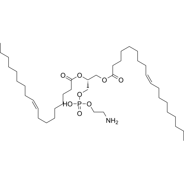 1,2-Dioleoyl-sn-glycero-3-phosphoethanolamine 4004-05-1